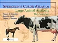 Spurgeons Color Atlas of Large Animal Anatomy: The Essentials (Paperback)