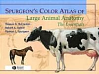 Spurgeons Color Atlas of Large Animal Anatomy : The Essentials (Paperback)