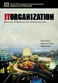 It Organization: Building a Worldclass Infrastructure (Paperback)