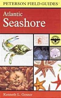 A Field Guide to the Atlantic Seashore (Paperback)