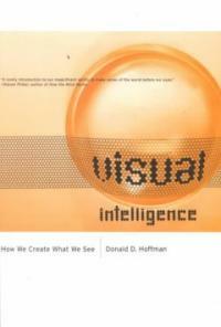 Visual intelligence : how we create what we see 1st Norton pbk