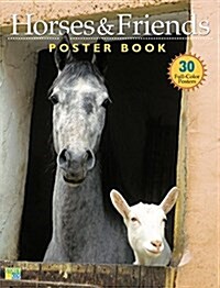 Horses & Friends Poster Book (Paperback)