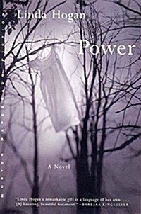 Power (Paperback)