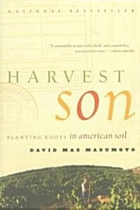 Harvest Son: Planting Roots in American Soil (Paperback)