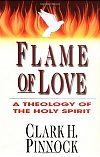 Flame of Love: Three Views on the Destiny of the Unevangelized (Paperback)