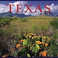 [중고] Texas (Hardcover)