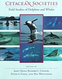 Cetacean Societies: Field Studies of Dolphins and Whales (Paperback, New)