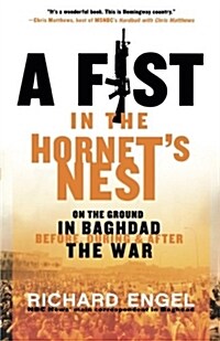 A Fist in the Hornets Nest: On the Ground in Baghdad Before, During and After the War (Paperback)