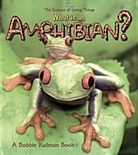 What Is an Amphibian? (Paperback)