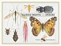 Illinois Insects and Spiders (Paperback)
