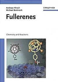 Fullerenes: Chemistry and Reactions (Hardcover)
