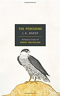 The Peregrine (Paperback)
