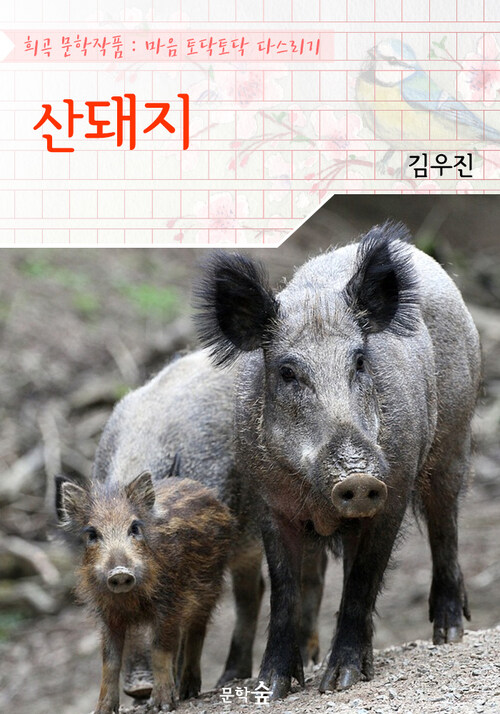 산돼지 : 김우진 (희곡 문학작품 - 마음 토닥토닥 다스리기)