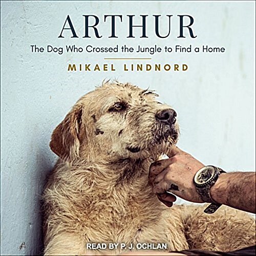 Arthur: The Dog Who Crossed the Jungle to Find a Home (MP3 CD)