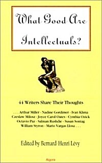 What Good Are Intellectuals? (Paperback)