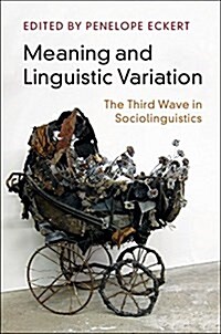 Meaning and Linguistic Variation : The Third Wave in Sociolinguistics (Hardcover)