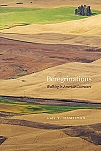 Peregrinations: Walking in American Literature (Hardcover)