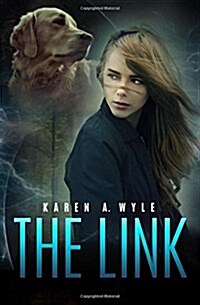 The Link (Paperback)