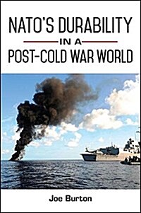 NATOs Durability in a Post-Cold War World (Hardcover)
