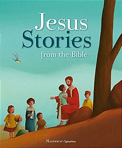 Jesus Stories from the Bible (Hardcover)