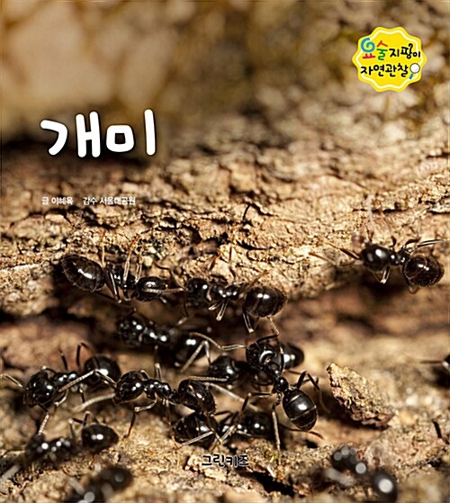 요술지팡이 자연관찰 : 개미