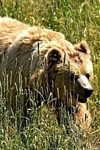 European Brown Bear Walking in a Meadow Journal: Take Notes, Write Down Memories in This 150 Page Lined Journal (Paperback)