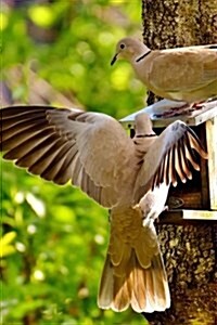 Doves at a Bird Feeder Journal: Take Notes, Write Down Memories in This 150 Page Lined Journal (Paperback)