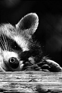Raccoon Taking a Nap on a Log in Black and White Journal: Take Notes, Write Down Memories in This 150 Page Lined Journal (Paperback)