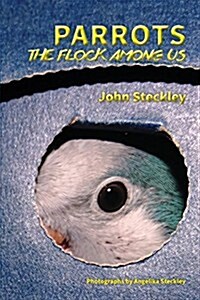 Parrots: The Flock Among Us, Deluxe Colour Edition (Paperback)