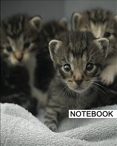 Notebook: 8 x 10, For Writing, Journaling, & Notes, 100 Pages, Cats (122), [Classic Notebook] (Paperback)