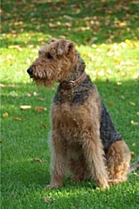 Airedale Terrier Notebook (Paperback)