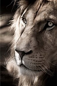 Lion Notebook (Paperback)