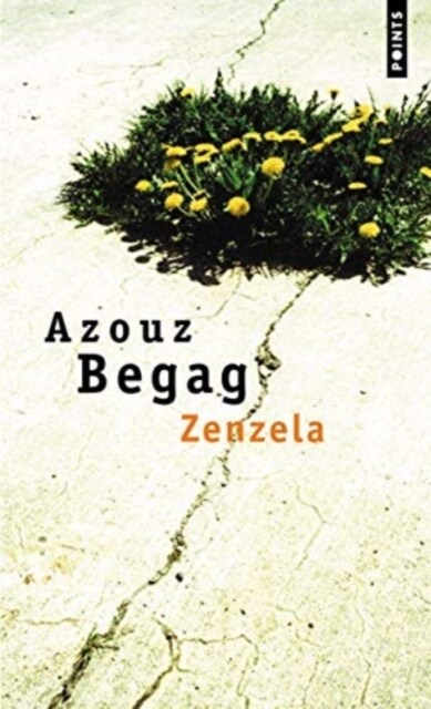 Zenzela (Paperback)