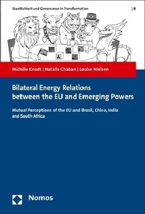 Bilateral Energy Relations Between the Eu and Emerging Powers: Mutual Perception of the Eu and Brazil, China, India and South Africa (Paperback)