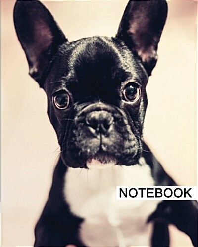 Notebook: 8 x 10, For Writing, Journaling, & Notes, 100 Pages, Dog (196), [Classic Notebook] (Paperback)