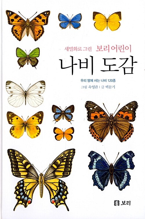 (세밀화로 그린 보리 어린이) 나비 도감 : 우리 땅에 사는 나비 120종