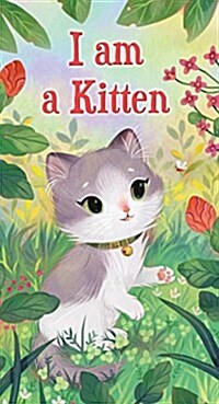 I Am a Kitten (Board Books)