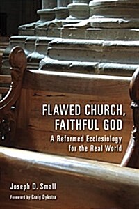 Flawed Church, Faithful God: A Reformed Ecclesiology for the Real World (Paperback)