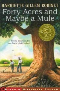 Forty Acres and Maybe a Mule (Paperback)