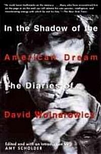 In the Shadow of the American Dream: The Diaries of David Wojnarowicz (Paperback)