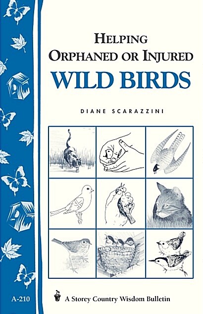 Helping Orphaned or Injured Wild Birds: Storeys Country Wisdom Bulletin A-210 (Paperback)