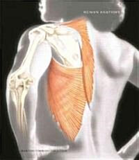 Human Anatomy (Hardcover, 5th)