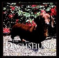 The Dachshund: A Dog for Town and Country (Hardcover)