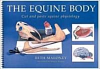 The Equine Body (Paperback, Spiral)