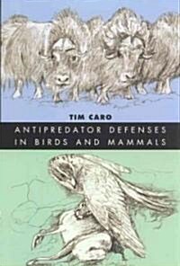 Antipredator Defenses in Birds and Mammals (Hardcover)