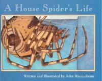 (A) house spider's life 