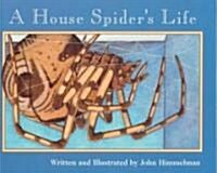 A House Spiders Life (Nature Upclose) (Paperback)