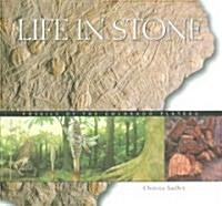 Life In Stone (Paperback)
