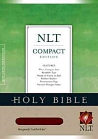 Holy Bible (Paperback, 2nd)