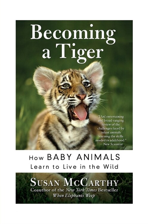 Becoming a Tiger (Paperback)